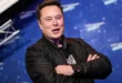 Musk lancia Neuralink: “Chip nel cervello umano nel 2023”