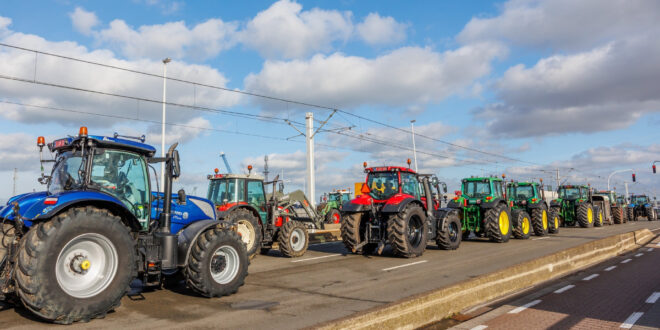 Protesta agricoltori, centinaia di trattori sono arrivati a Bruxelles