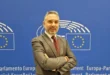 OLIO, NESCI (FDI-ECR): «DAL GOVERNO MELONI RISORSE E INTERVENTI CONCRETI. ORA TAVOLO URGENTE CON REGIONI E ASSOCIAZIONI DI CATEGORIA SU INVENDUTO»