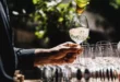 Per bere un buon vino bianco non serve spendere una fortuna: la classifica di Altroconsumo